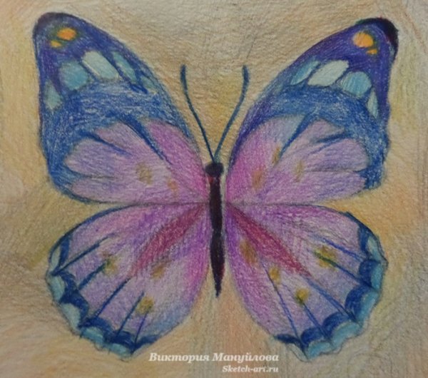 Бабочка восковыми мелками