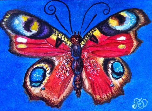 Бабочка гуашью