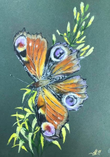Бабочка гуашью