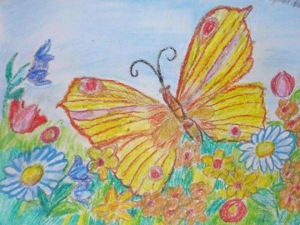 Рисование бабочки пастелью