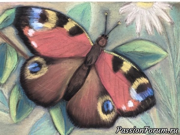 Холодный батик бабочка