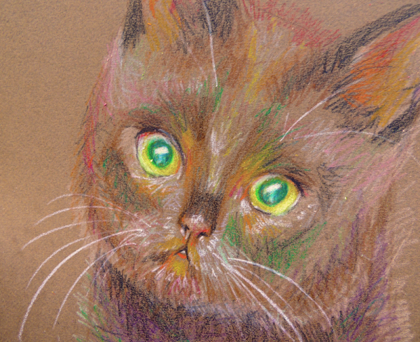 Рисование кот восковыми карандашами