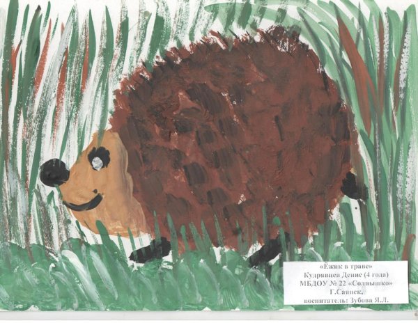 Ёжик для рисования детям