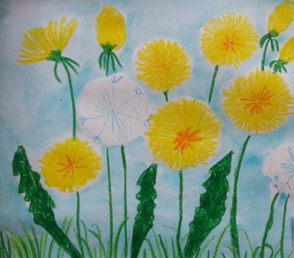 Рисование в детском саду одуванчик