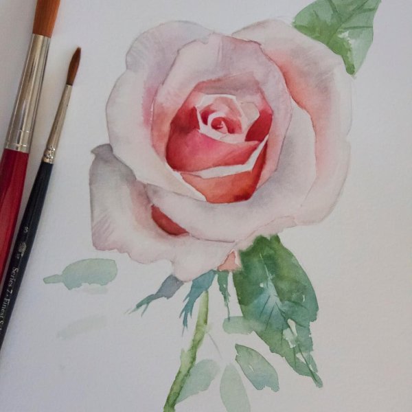 Цветы акварелью легкие для срисовки