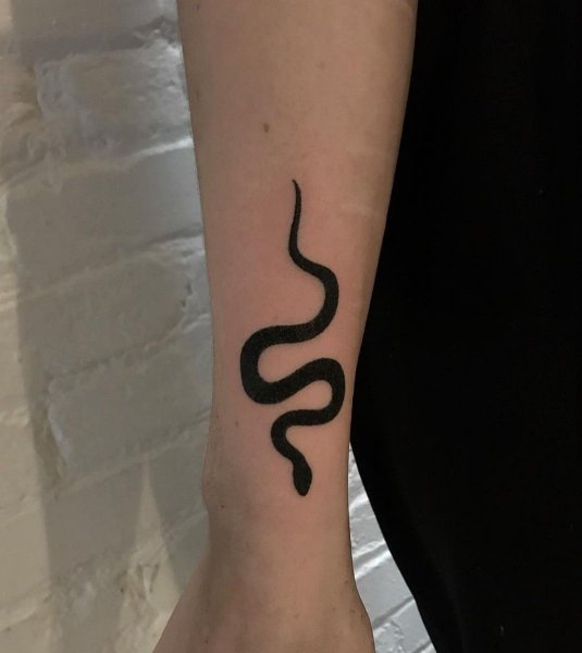 Тату хной змея на руке