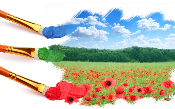 Фон краски кисти