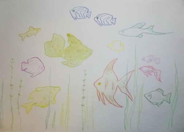 Рыбка восковыми мелками и акварелью