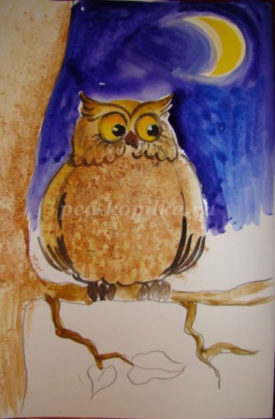 Сова рисунок красками для детей
