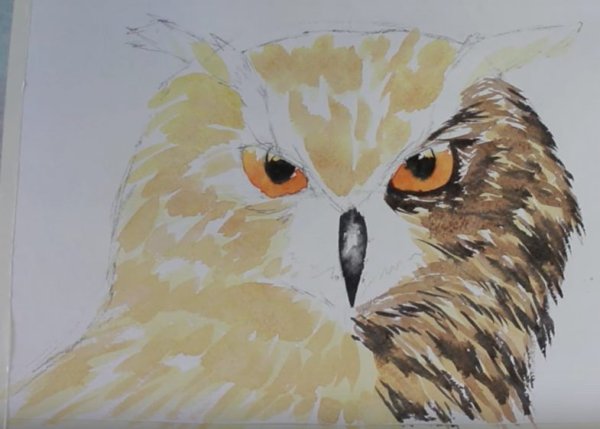 Мастер класс по рисованию Совы