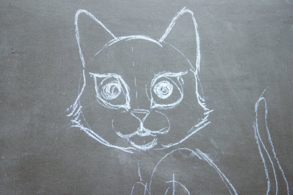 Кот мелками на доске