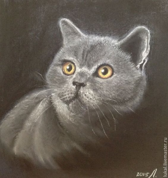 Котенок пастелью