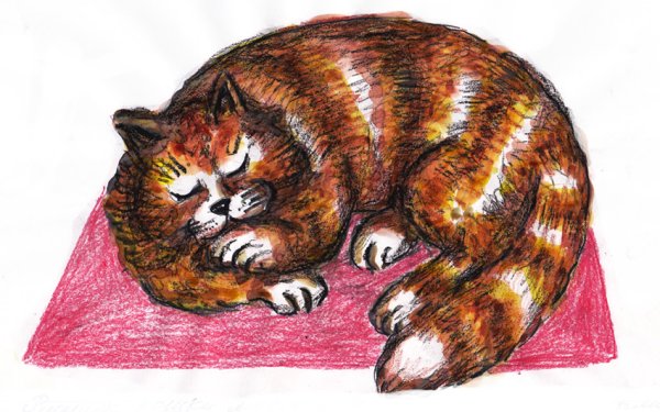 Кот восковыми мелками