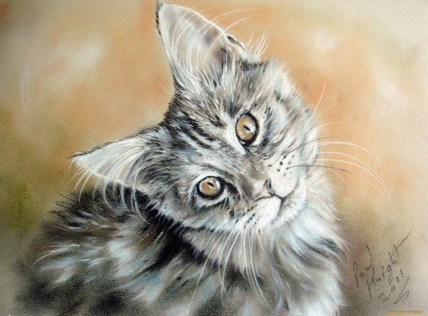 Художник кошки пастелью Paul Knight
