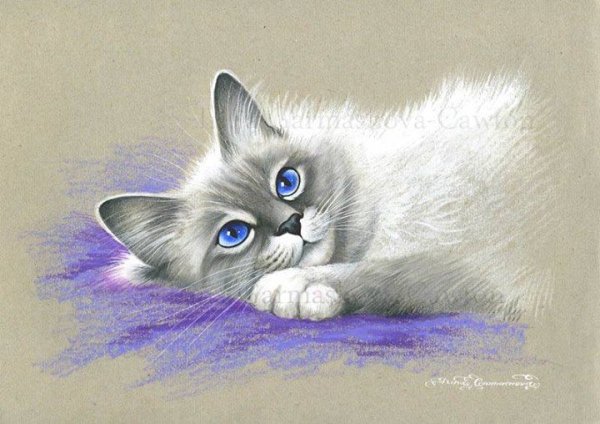 Кот пастелью сухой