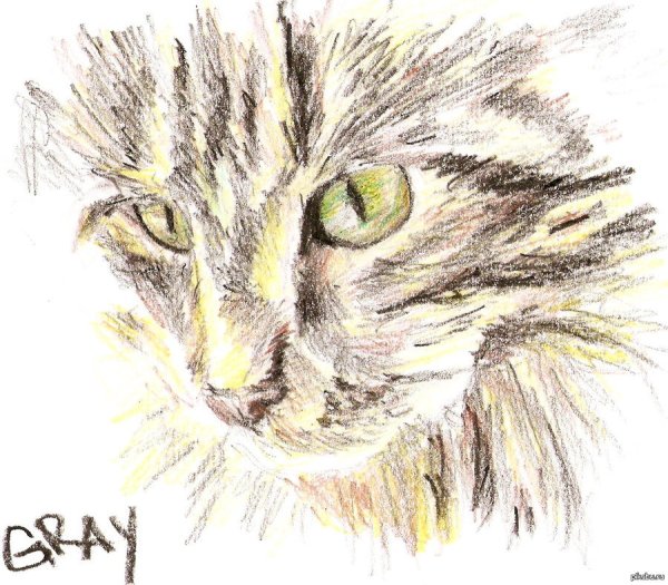 Рисунки восковыми карандашами