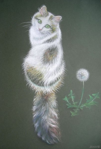 Кошка пастелью сухой