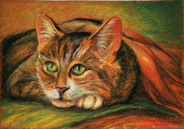 Коты масляной пастелью