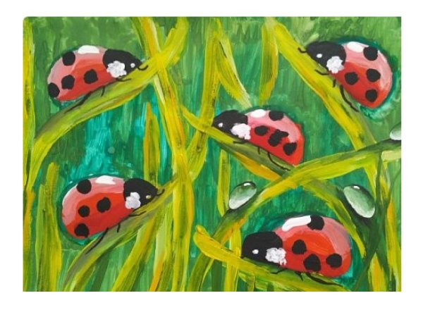 Разноцветные жуки изо