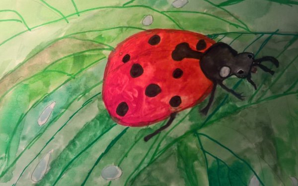 Божья коровка живопись