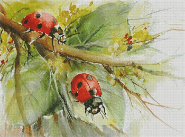 Простые рисунки правополушарное рисование Божья коровка