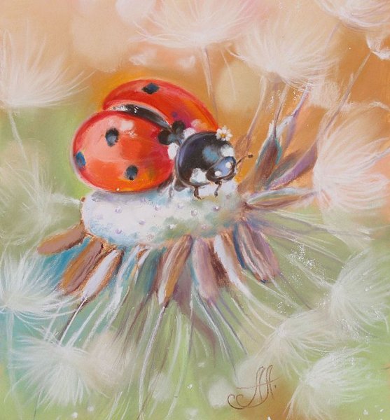 Рисование насекомых Божья коровка