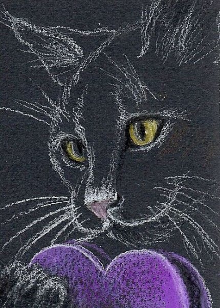 Котик мелом