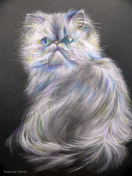 Кот пастелью