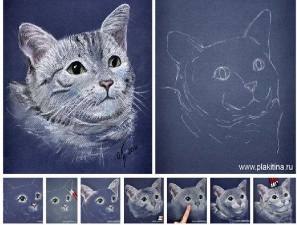 Кошки пастелью пошагово
