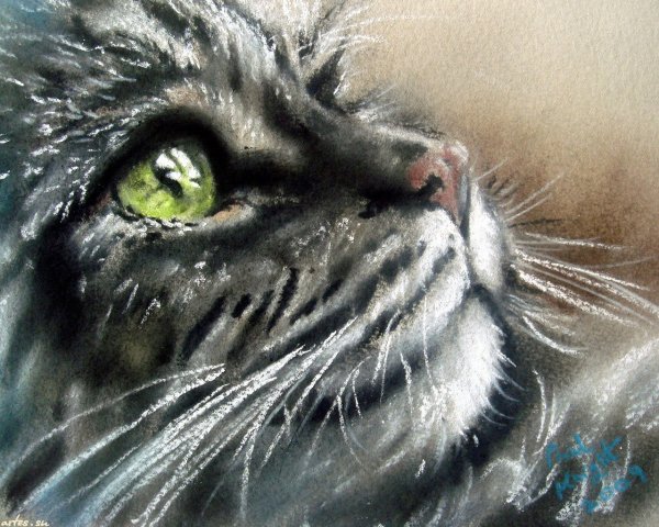 Пол Найт художник коты пастелью