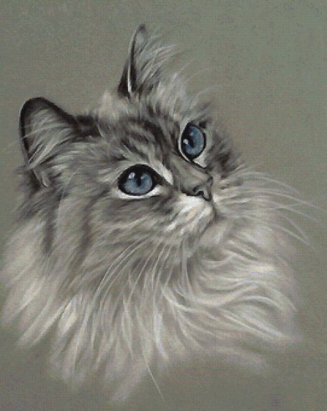 Кошка пастелью сухой