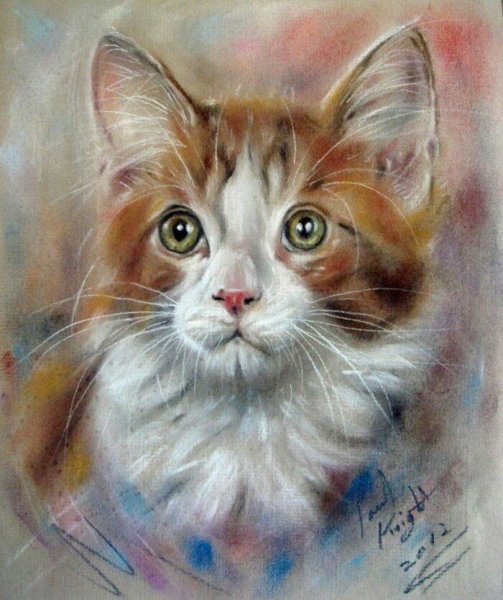 Paul Knight художник