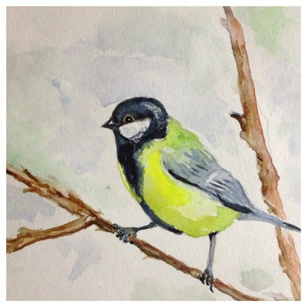 Синичка красками