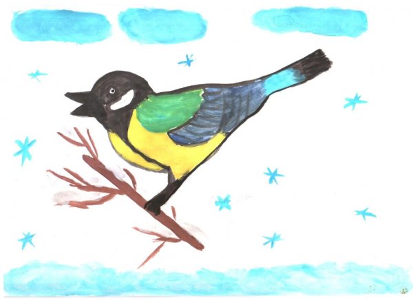 Рисование птицы синицы