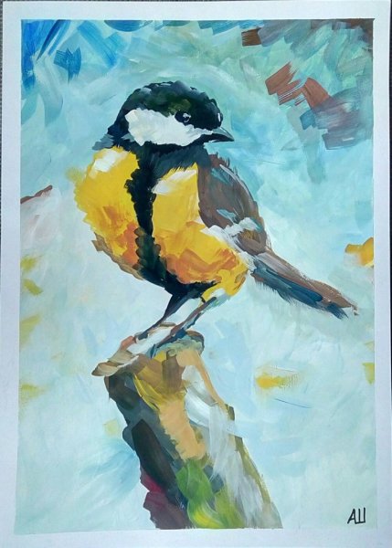 Рисование синица в подготовительной группе