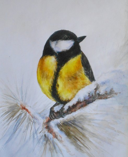 Рисование с детьми синичка