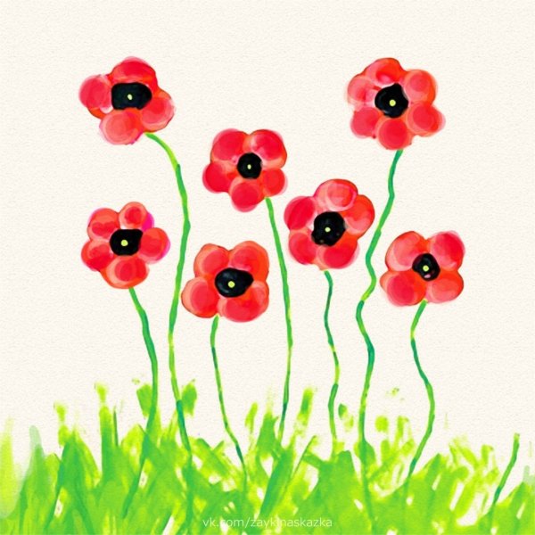 Рисование маки старшая группа