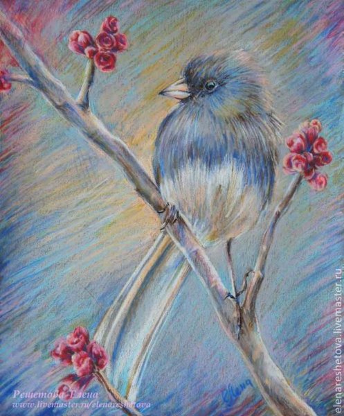 Птицы пастелью