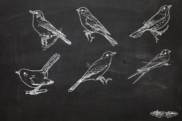 Птицы рисование на доске