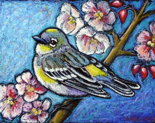 Птицы масляной пастелью