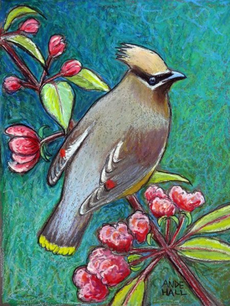 Птицы масляной пастелью