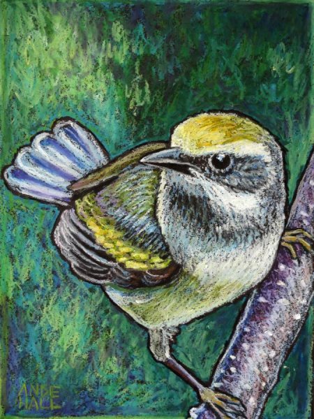 Птичка масляной пастелью