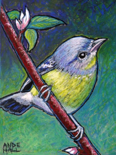 Рисование пастелью птицы