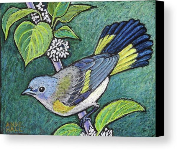 Птицы пастелью на черном