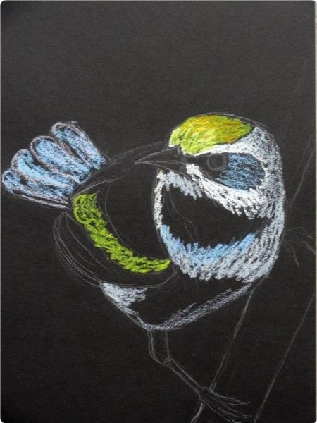 Голубь пастелью