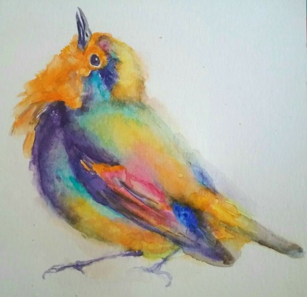 Колибри пастелью