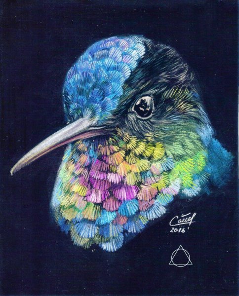 Птицы пастелью