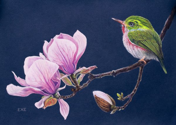 Декоративное рисование птиц акварелью и масляной пастелью