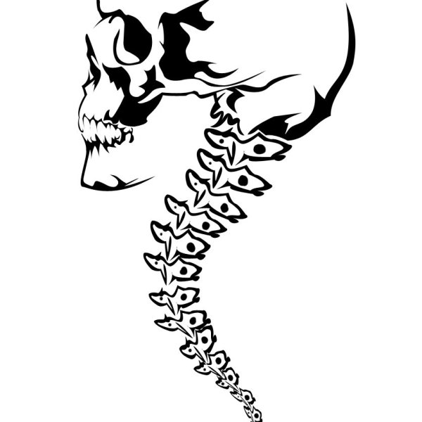 Череп рисунок хной