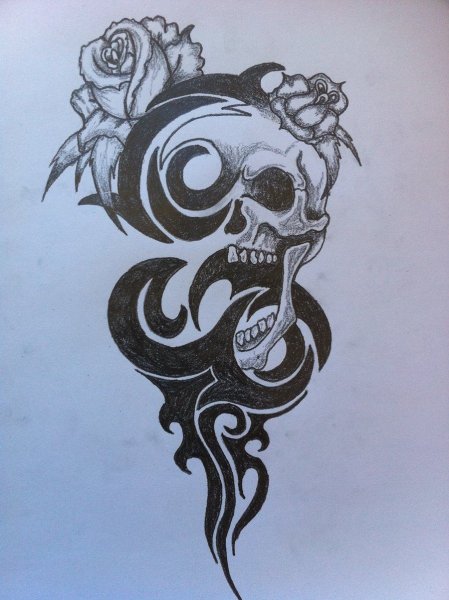 Череп трайбл